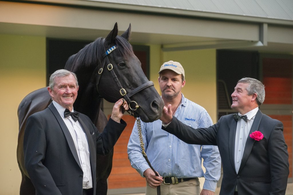 Vale Lonhro🕊️ An iconic champion and a very special horse to many. It was a privilege to have been apart of his career 🧡