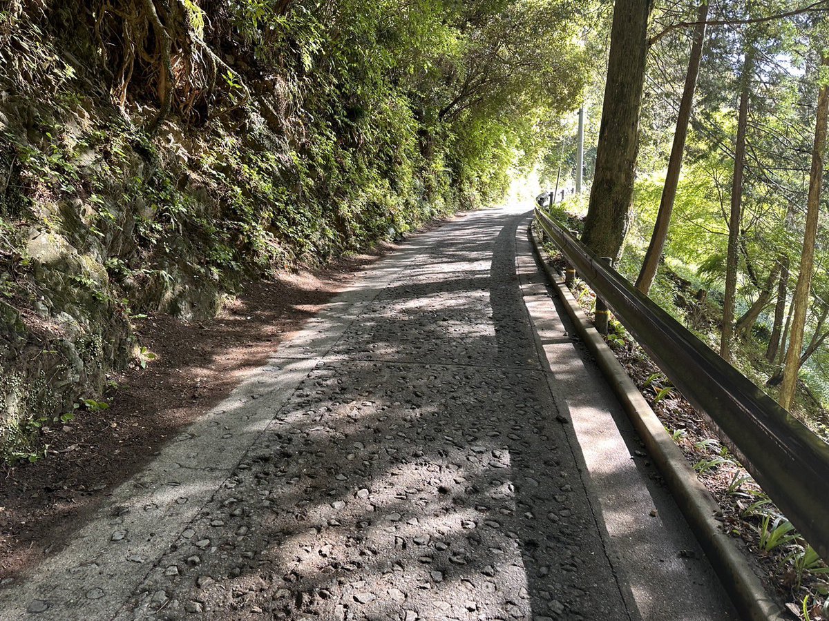 今朝は薬王院、山上商店の皆様と一緒に自然研究路1号路の登山道清掃を行いました🧹 綺麗になってスッキリ✨ 春の高尾山への皆様のお越しを、心よりお待ちしております☺️ #高尾山