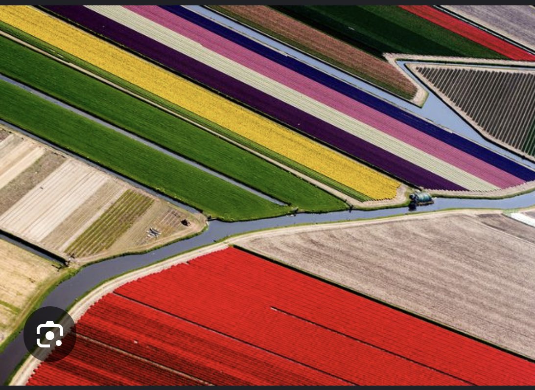 spreeksteen's tweet image. better than #Piet #Mondriaan