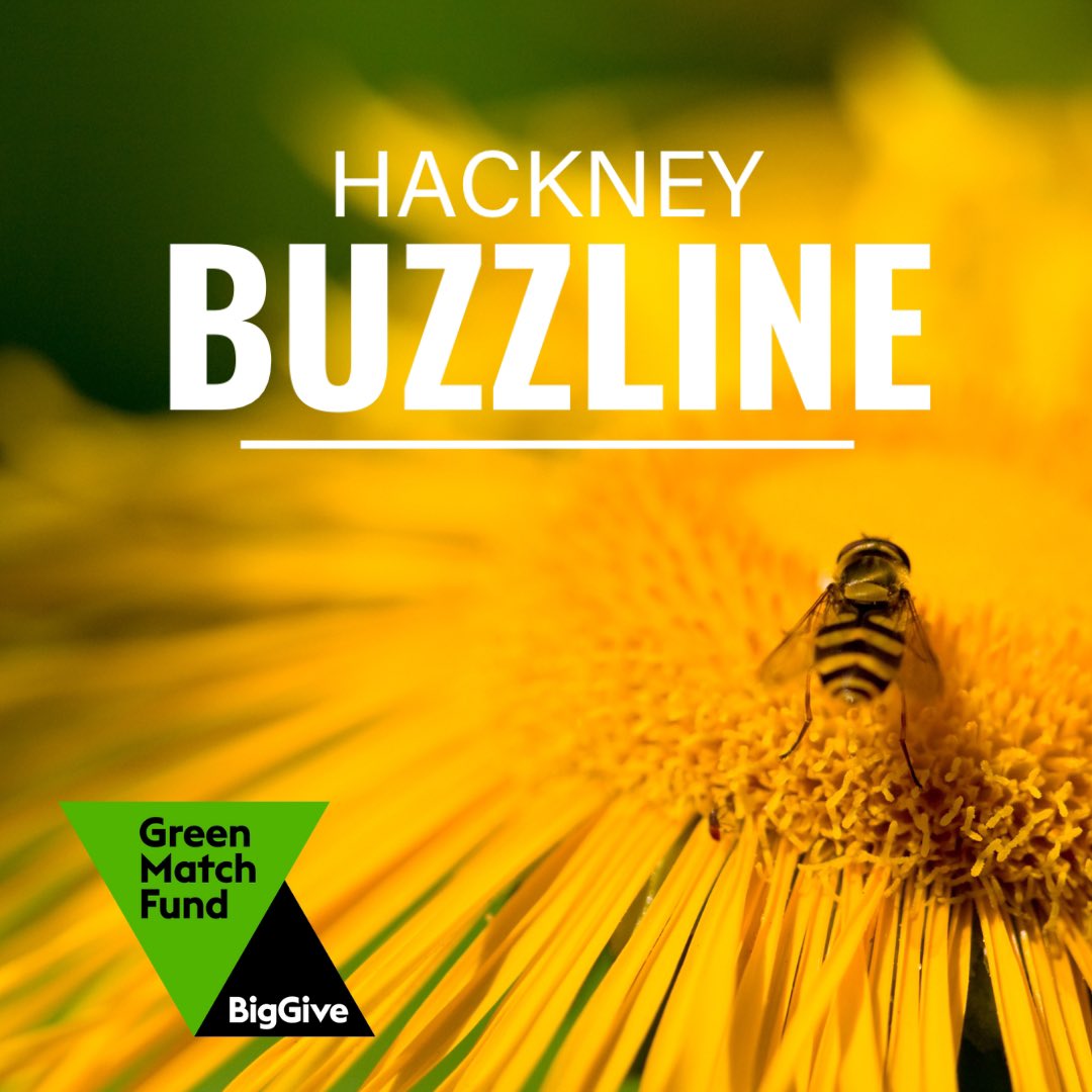 🐝 Help create a greener future for Hackney! The #HackneyBuzzline project aims to build a 4km ecological corridor, enhancing #pollinator networks and promoting #natureconnection. #greenmatchfund Donate today to double your impact: donate.biggive.org/campaign/a0569…