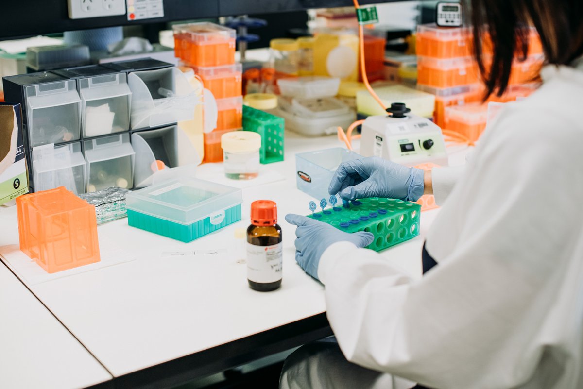 We're on the hunt for new talent to join our team! Vacancies: 🧑‍💻 Clinical Trials Manager 🥼 Research Assistant/Project Officer 💰 Financial Planning & Reporting Analyst 📝 Business Support Officer 🧬 Next Generation Sequencing Specialist Learn more ➡ sahmri.au/vacancies