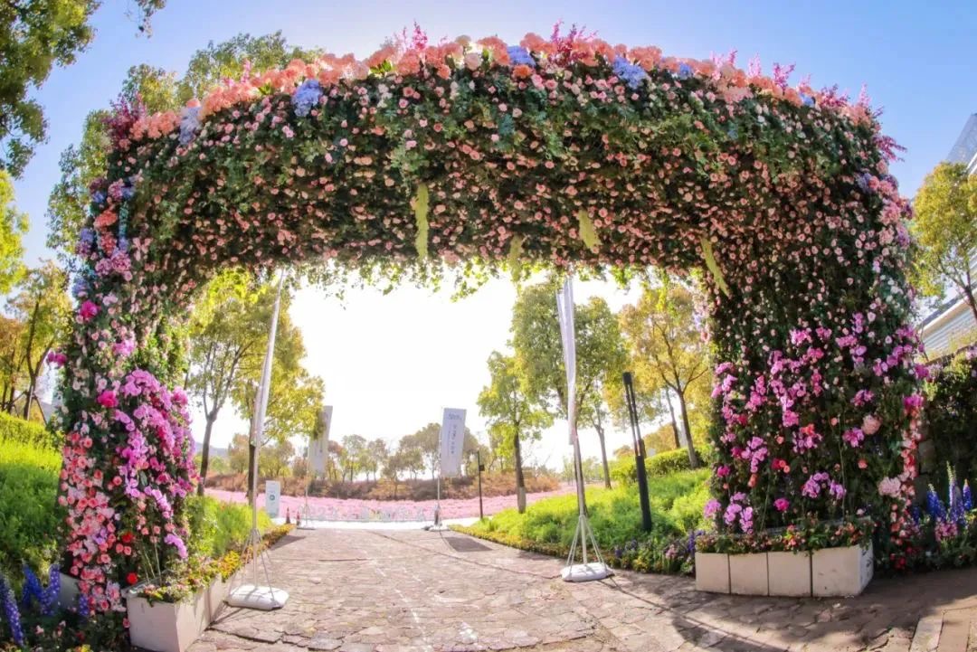 #Shanghai's Lin-gang Special Area is the place to go as a primary venue of the 2024 Shanghai International Flower Show being held from April 18 to May 22. 🌺🪻🌼#VisitLingang #ChinaCanvas