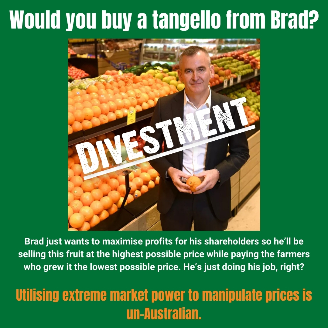 Brad B made a big show of NOT telling the Senate how big a profit his shareholders are making but he ignored the suffering of ordinary Australians skipping meals and medical visits so he and his friends can get richer. We Greens want a divestment power to ensure fair competition.