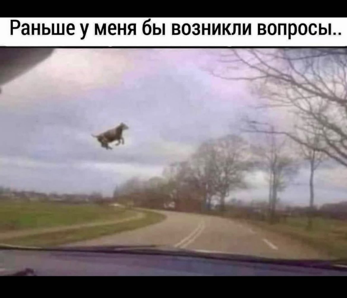 Пятница на дворе. Берегитесь низколетающих коров. Приветик.