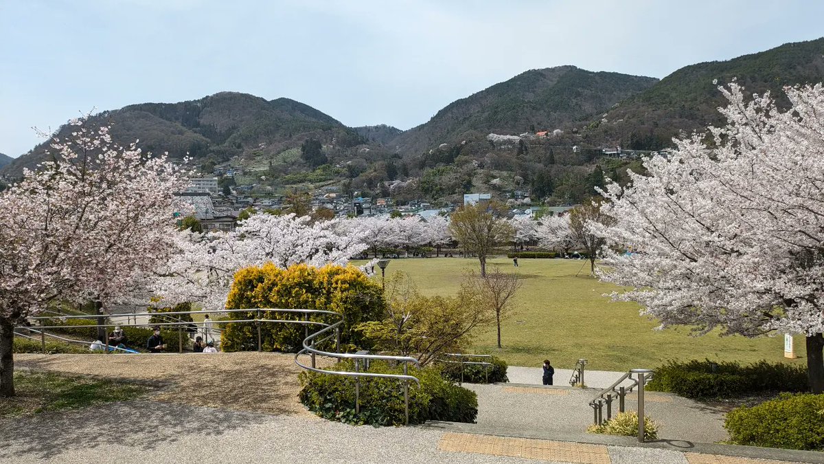 #城山公園 #桜 #サクラ #さくら #春 #善光寺 #長野市 #長野 #joyamakoen #joyamapark #sakura #cherryblossoms #hanami #spring #zenkoji #naganocity #nagano