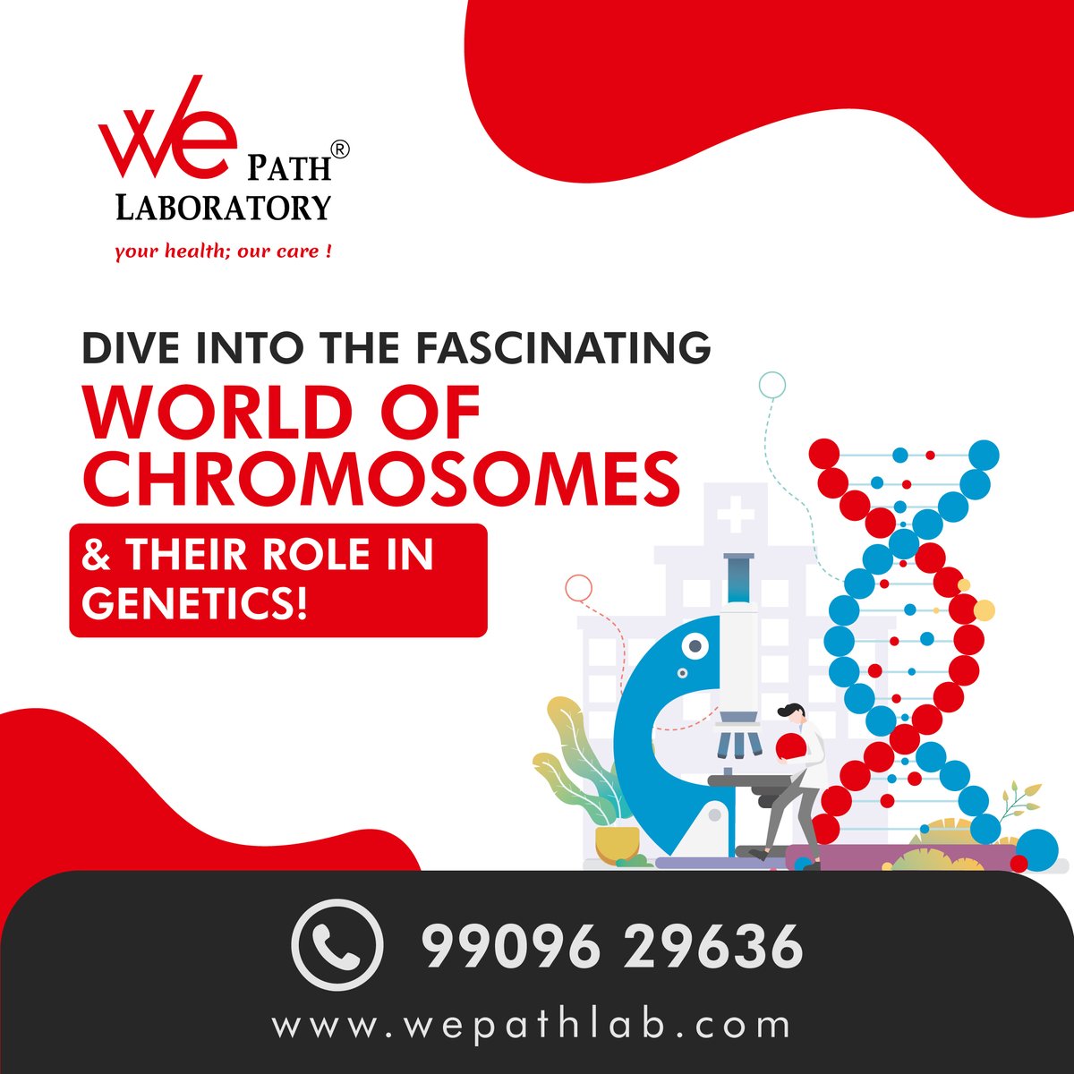 Exploring the wonders of chromosomes! #ChromosomeExploration #GeneticWonders #ScienceEducation #DNAdecoded #GeneticDiscovery #BiologyBasics #GeneticResearch #LifeScience #Bioinformatics #DiscoverGenetics #CellularExploration #ResearchInsights #wepathlaboratory #Wepathlab