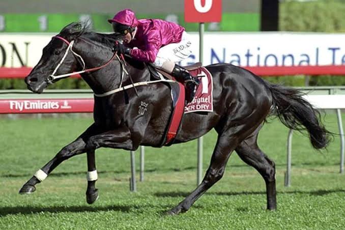 R.I.P. Lonhro 
There will never be another one like you