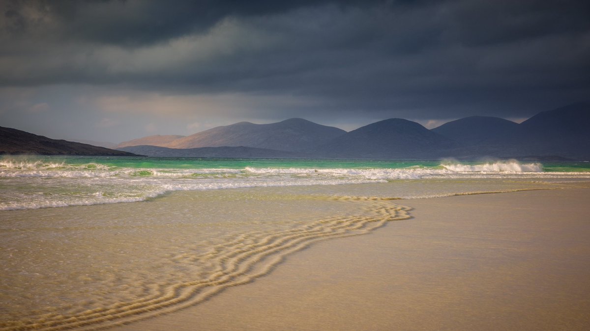 Verity Milligan tweet media