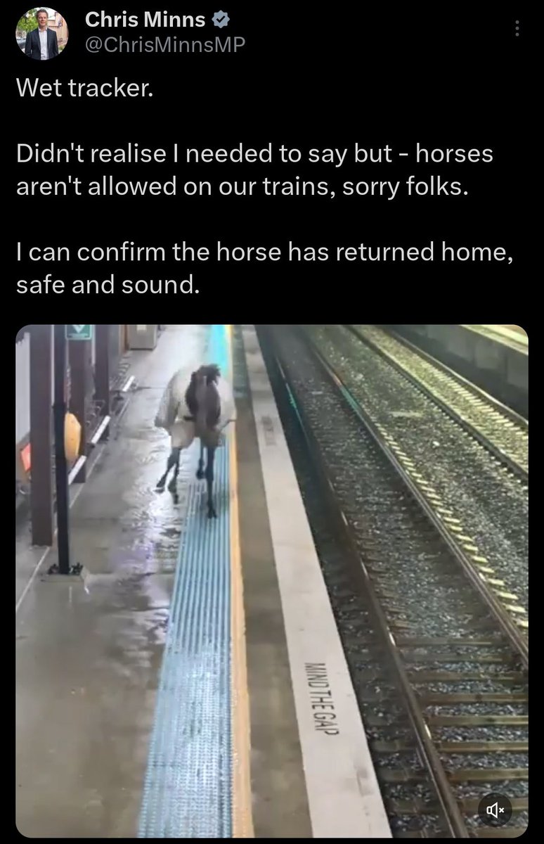 this was Gertrude before the NSW Gestapo shot her. Apparently you need to have a seperate MYKI for animals. Woke rubbish 😡. This wouldn't of happened under scomo 🇦🇺