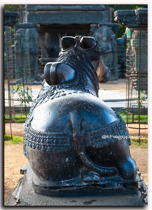 This is remarkable!

How did they manage to polish the curved surface to get this much of shine on a granite stone?

Nandi, Warangal forte.