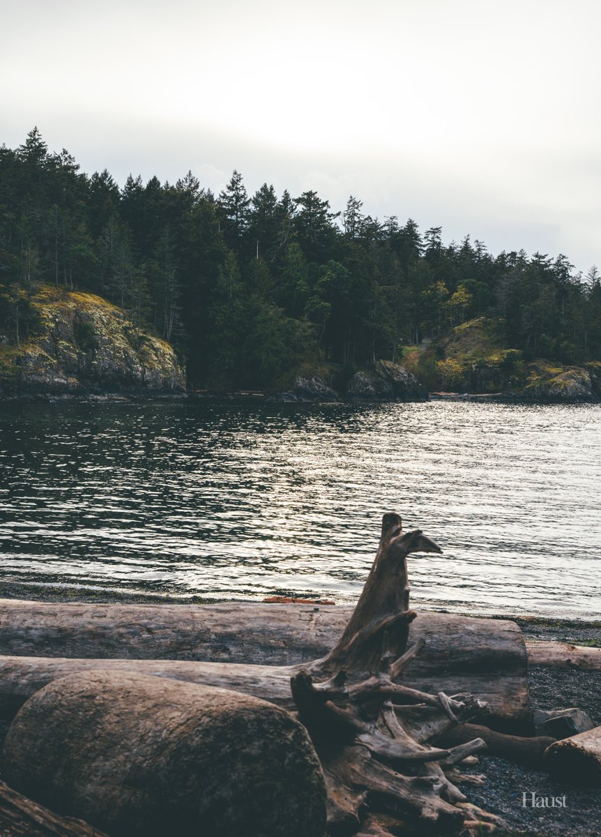 Sunset coves in the Pacific Northwest.

#clouds #cove #nature #NaturePhotography #photographer #photography #photooftheday #PhotographyIsArt #ocean #trees #landscapephotography #pnw #pacificnorthwest