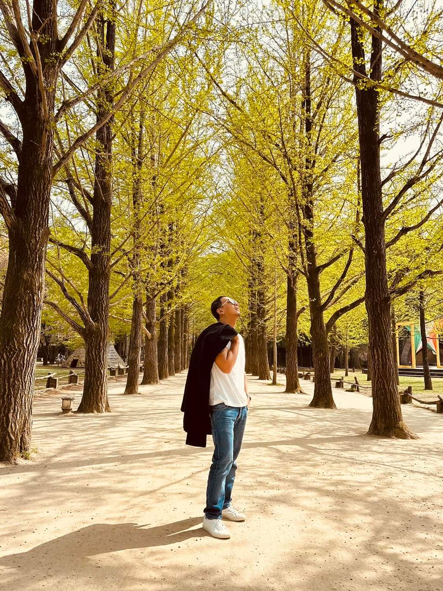 noodporm's tweet photo. Nami Island, South Korea https://t.co/uYgx8g4ebY