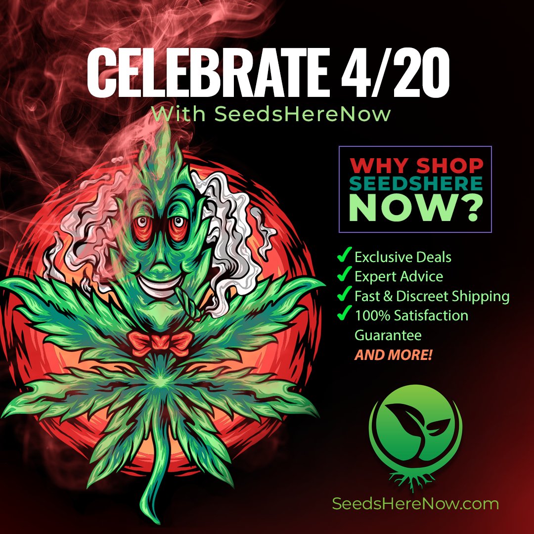 Our 4/20 Sale is the perfect time to grab the best deals on premium seeds from top breeders. CHECK IT OUT! seedsherenow.com for more! 

#420 #seedsherenow #growbudyourself #CannabisCommunity #cannabislife #420friendly #420Life #cannabisgrowers