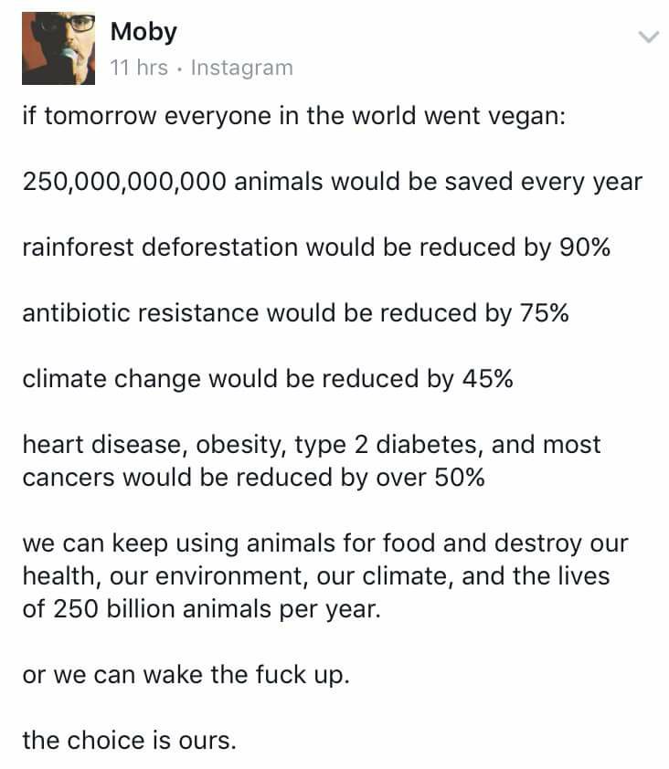 #KeepItInTheGround and #BanFossilFuels, yes, but ALSO and for many overwhelming reasons...

#GoVegan #AnimalLiberation #EndSpeciesism