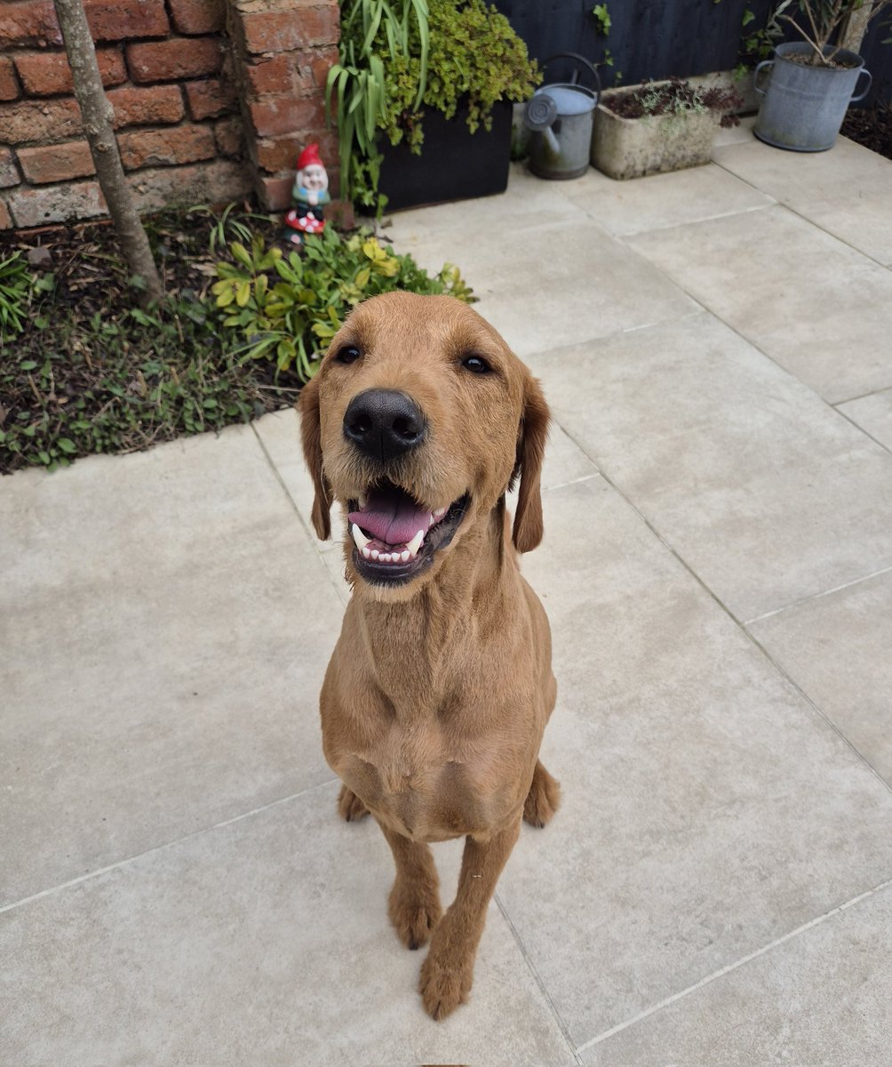 BLOCKCHAIN RECLAIM 🏆🏅 tweet media