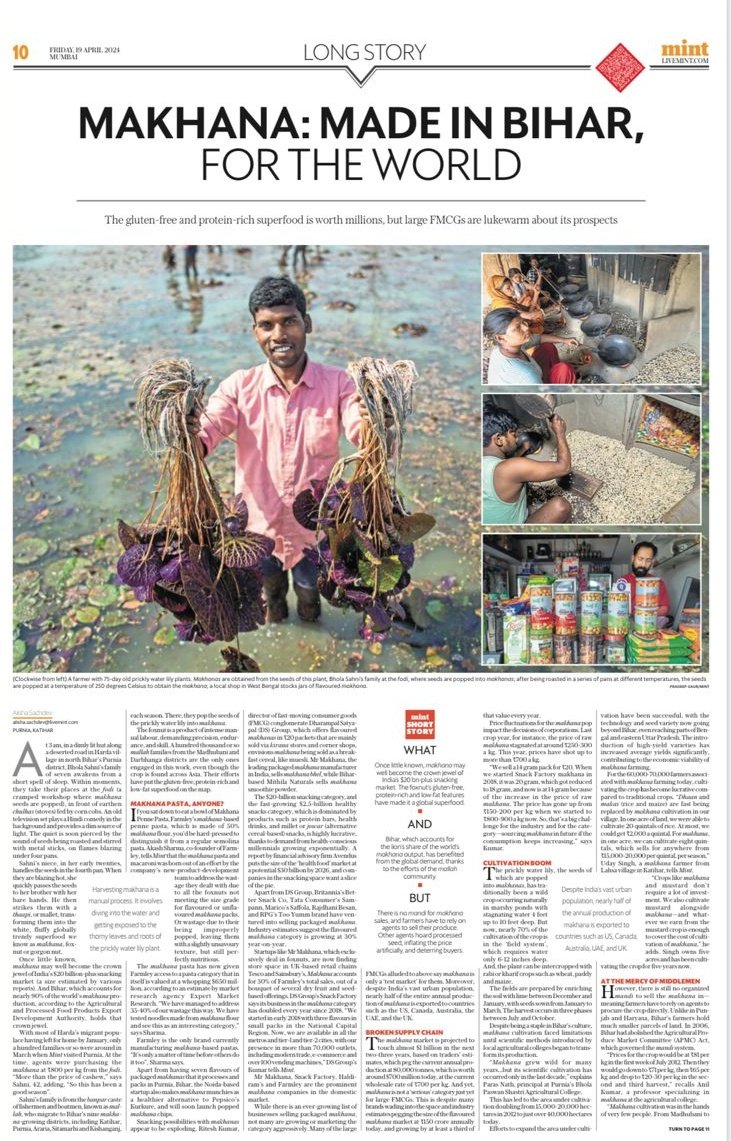 Come with me to #Purnia to meet the families behind your #makhanas! The intense manual labour to obtain popped makhana is the preserve of only 100,000 families in the world. And it all starts in Bihar. Dive into the world of makhana economics in my #LongStory for @livemint.