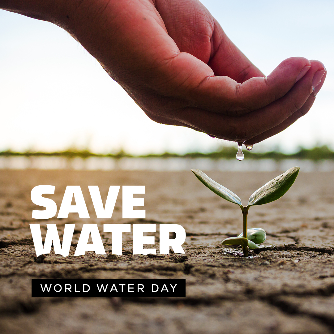 Let's cultivate a future where every drop counts! On this World Water Day, let's honour the lifeline of agriculture and commit to sustainable practices that conserve water for generations to come. 💧🌾 #WaterForAg #SustainableFarming