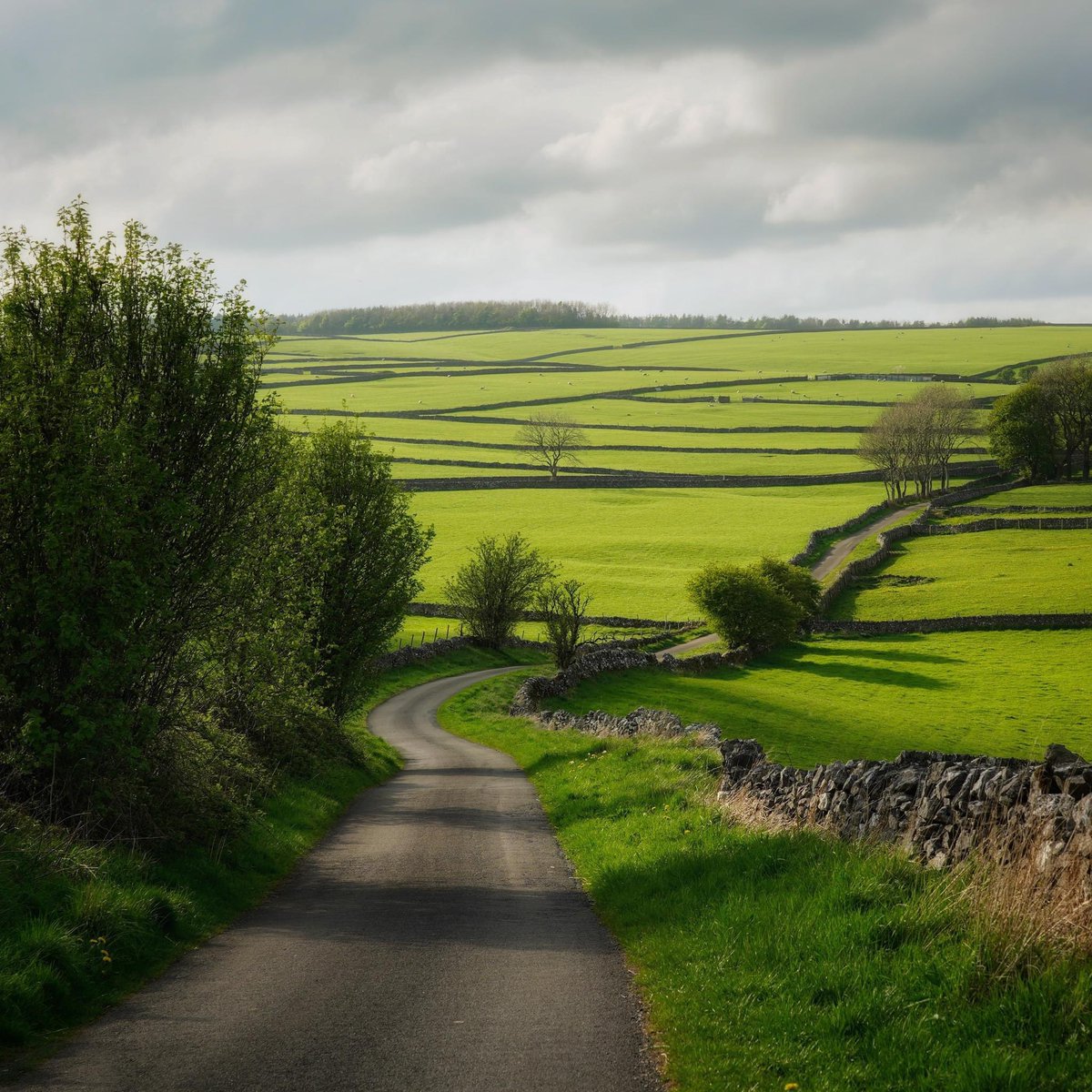 Sometimes, in the noise and the haste of life, it does your soul good to just stand in the quiet and stare at an open road stretching through the fields of green, full of possibilities. If only reality didn't call quite so loudly with work and bills and laundry. #peakdistrict