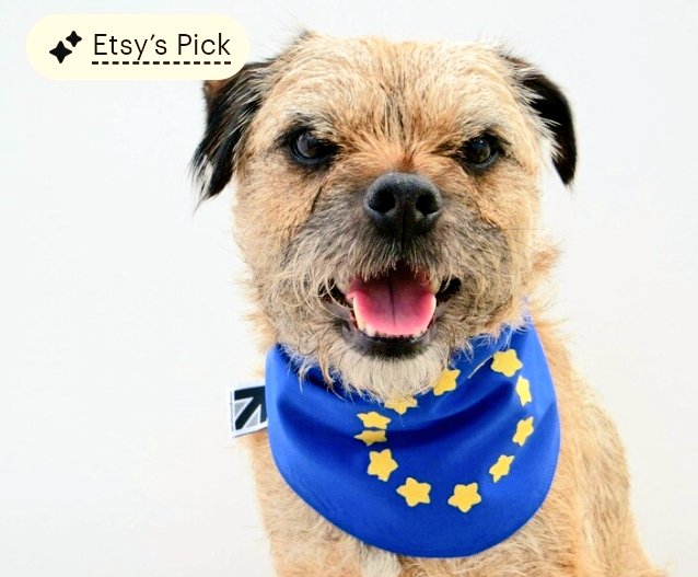 🇪🇺 Still selling like hot dogs! Heidi's 'fun with flags' bandana is perfect for 'EU' if you like to make a statement on a dog walk - or (protest) march 😜 #MHHSBD #earlybiz #etsy