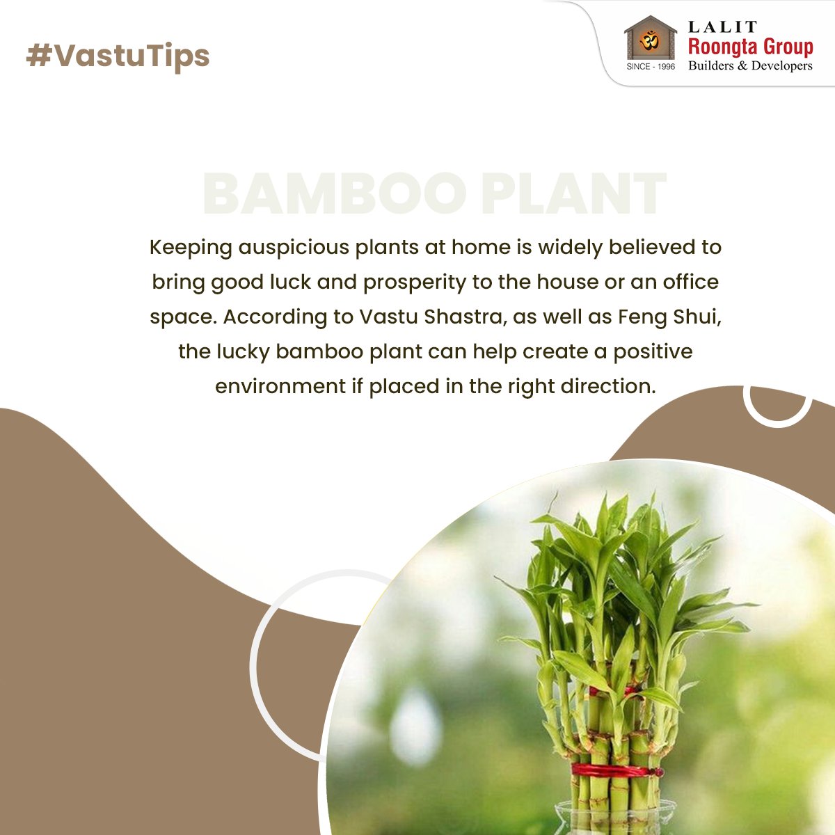 Is your home aligned for success?

Learn a simple Vaastu tip every week that can bring positive vibes to your space, enhance your well-being and create a harmonious living space. 

#VaastuTips #PositiveLiving #VaastuForEveryone #WeeklyTips #HarmonyAtHome #WeeklyWellness