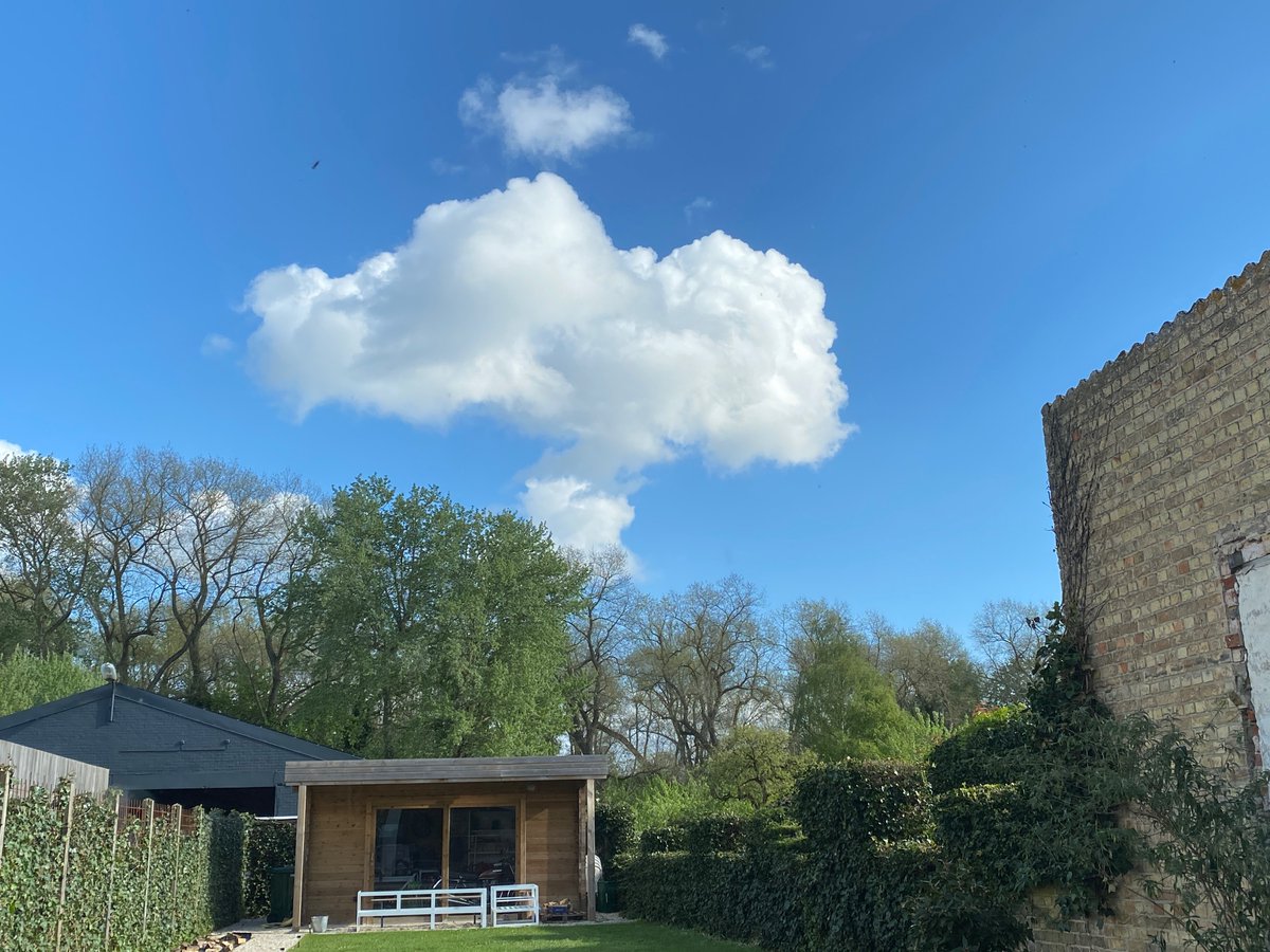 TomVanRompaey's tweet photo. Wolk groet boom. #vrtweer https://t.co/qpFKILNPQl