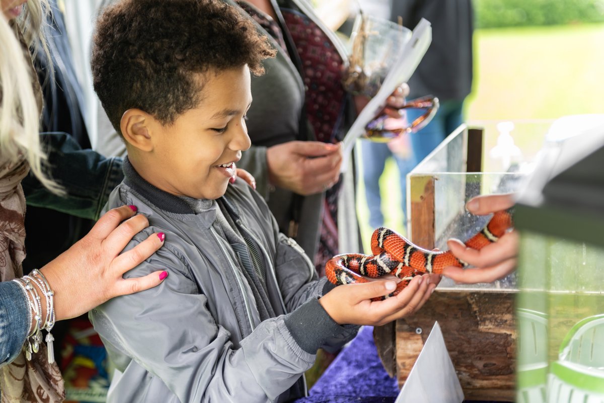 We're excited to announce that @ZooLabUK are coming to Anglesey Abbey in May half-term! Join us from 29 to 31 May for some inspiring, educational and ethical #animal experiences for all the family. 🦎Head to our website to book your tickets: bit.ly/ZooLab-at-Angl… 📸 Paul Harris