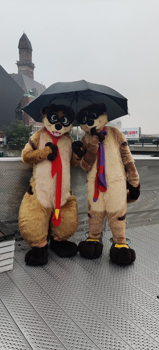 Water you doing over there? Come join us under our umbrella, so you won't end up as a raindeer! #Furry #Fursuit #FursuitFriday 📸 Drieka #NFC2024
