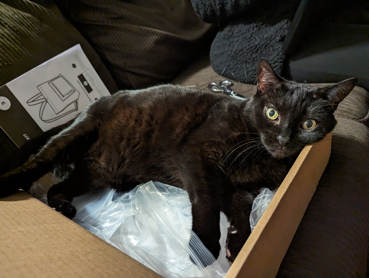 LuxInteriom's tweet photo. @littlenutsac This is Luna and she's so stinky https://t.co/eTg2iWjVJh