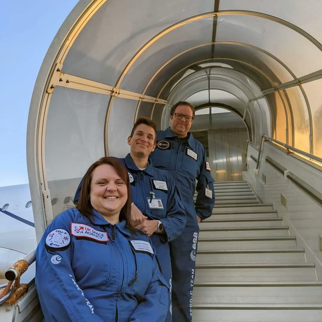 Gell-p Project tweet media