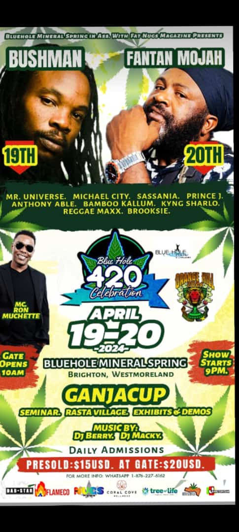 What are you doing tonight? Join me Fri 4/19 for the Blue Hole 420 Celebration! At Blue Hole Mineral Spring Brighton, Westmoreland 🇯🇲🇯🇲 #bushman #nyahmanbushman <a href="/NyahManBushman/">Bushman</a>
