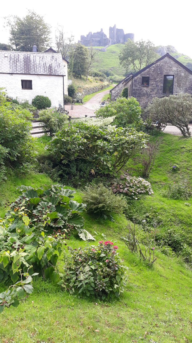 #DailyPictureTheme

'Castle'

Carreg Kennen, Carmarthenshire, Wales.