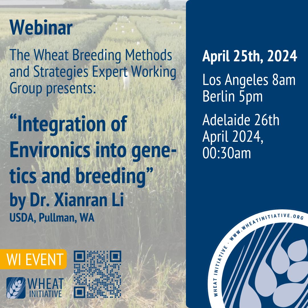 This is next week! 
Join our Expert Working Group on #Wheat #Breeding Methods and Strategies for their first webinar:  Dr. Xianran Li, USDA, Pullman, WA, “Integration of Environics into gene-tics and breeding”
 
Find all info here:
👇📷👇
wheatinitiative.org/new-events/dr-…