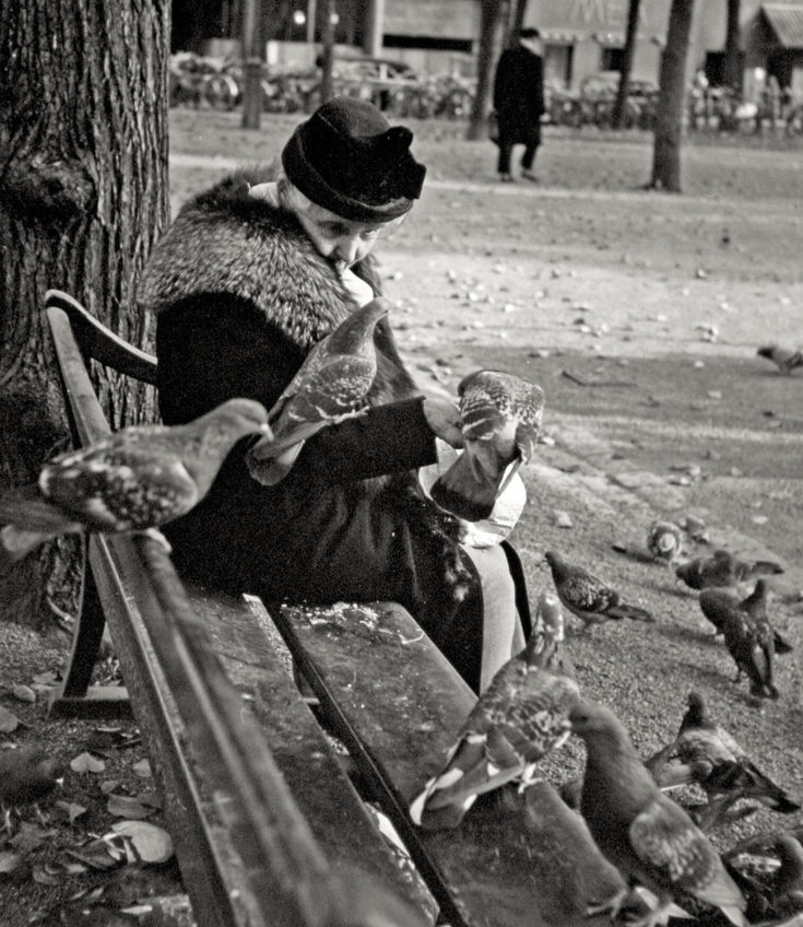 _Henk_Heijmans's tweet photo. Feeding the pigeons, Stockholm, 1951 - by Dirk de Herder (1914 – 2003), Dutch https://t.co/XqAyciOwAr