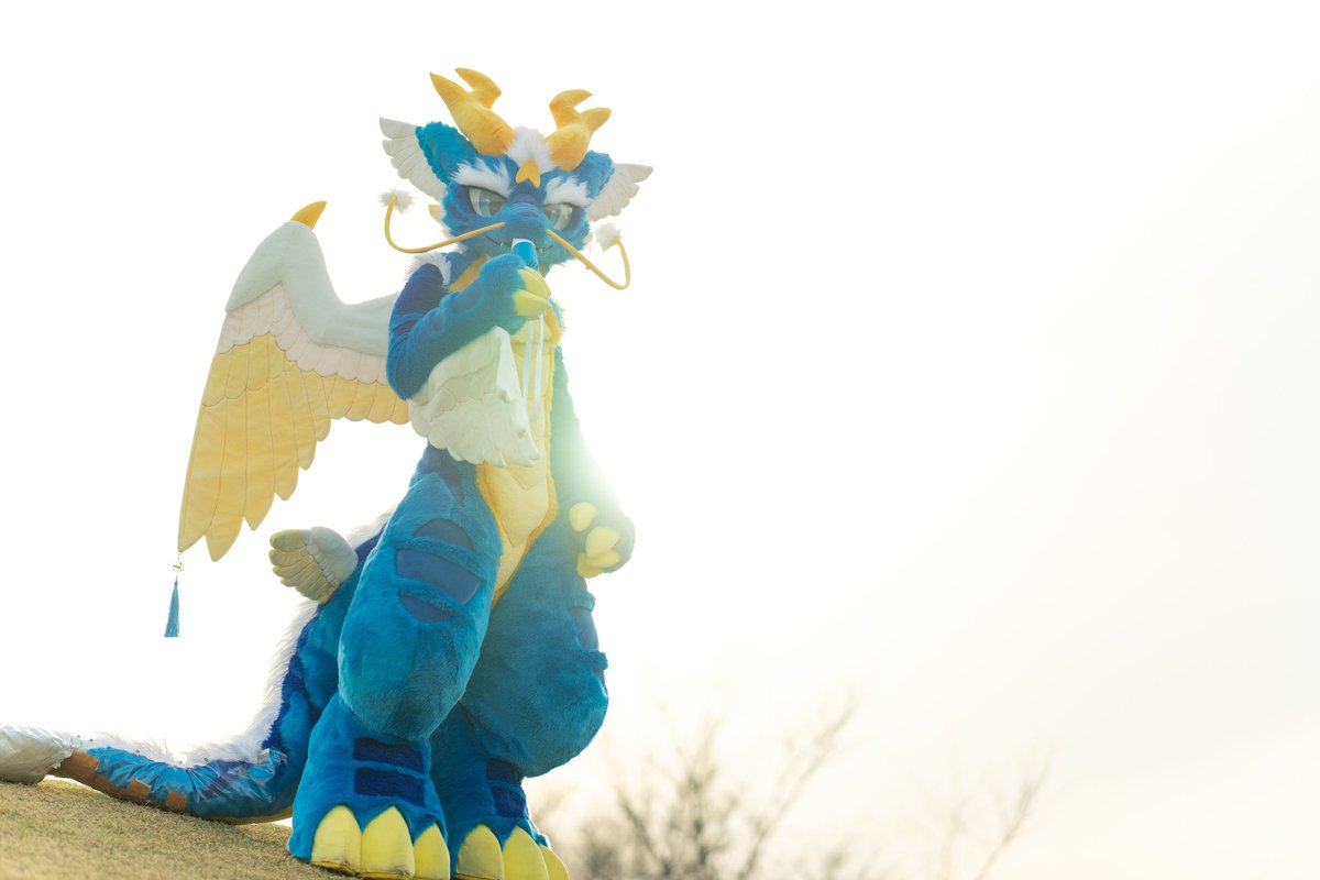 #FursuitFriday 

眩しい輝き

撮影:@Mofzof 様w