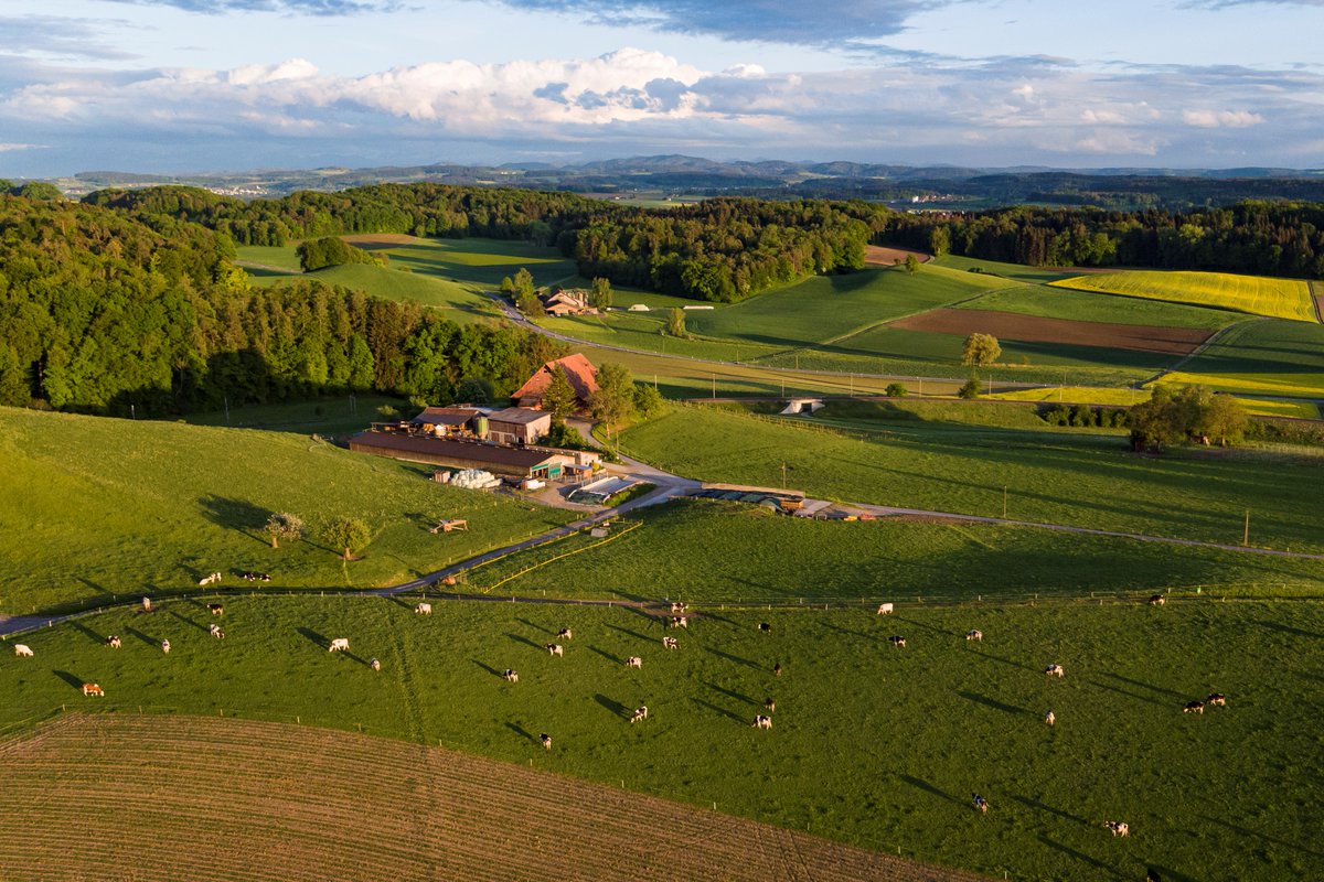 #GreenhouseGas calculators can assist in identifying measures to reduce #emissions on #farms and in quantifying the effect these measures can have. For this to be successful, it is essential to know their scope and limitations ➡️ agrarforschungschweiz.ch/en/2024/04/agr…