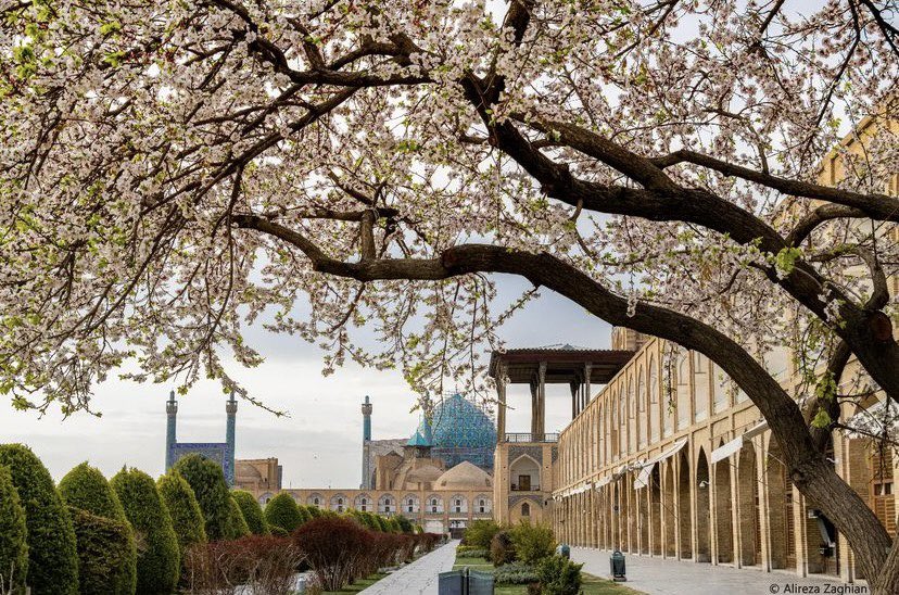 The Subject Today is: #ISFAHAN🧿

Photo credit: Alireza Zaghian

#PeaceForTheWorld ☮️

#IranianWomen🌱🤍🌹
#IranianWIN