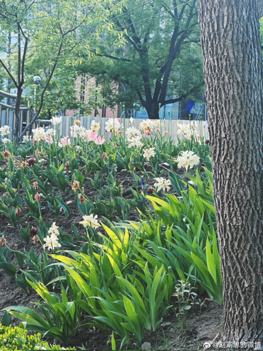 周, 𝖭𝖺𝗇𝖺. tweet media