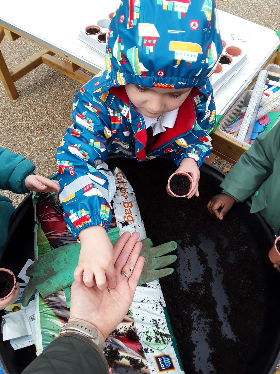 Nursery AM - As scientists we are exploring living and how things grow. We have found some little seeds, planted them in 'the ground' (soil) and now we wait for them to grow. We have also been learning the song 'The Seed Song' to help us remember the process.
