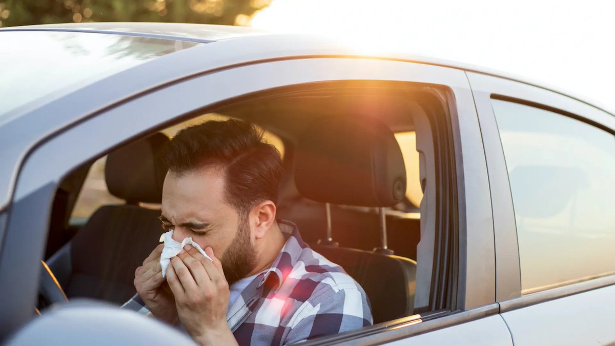 ¿Es peligroso conducir si tengo alergia? Consejos para hacerlo de forma segura dlvr.it/T5jVYt