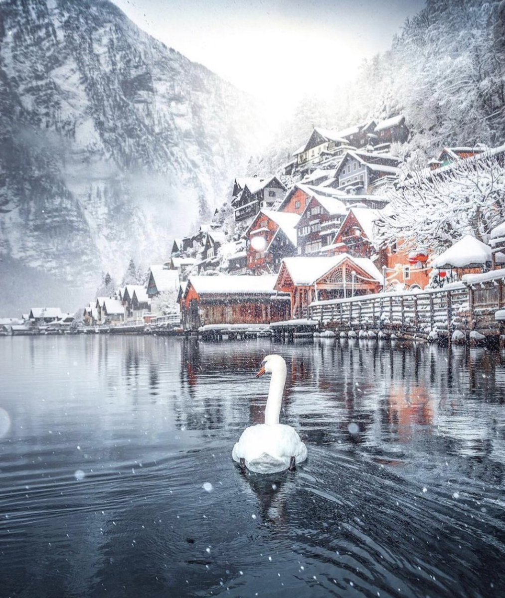 Hallstatt, Austria 🇦🇹 🪿 #naturephotography #nature #landscape