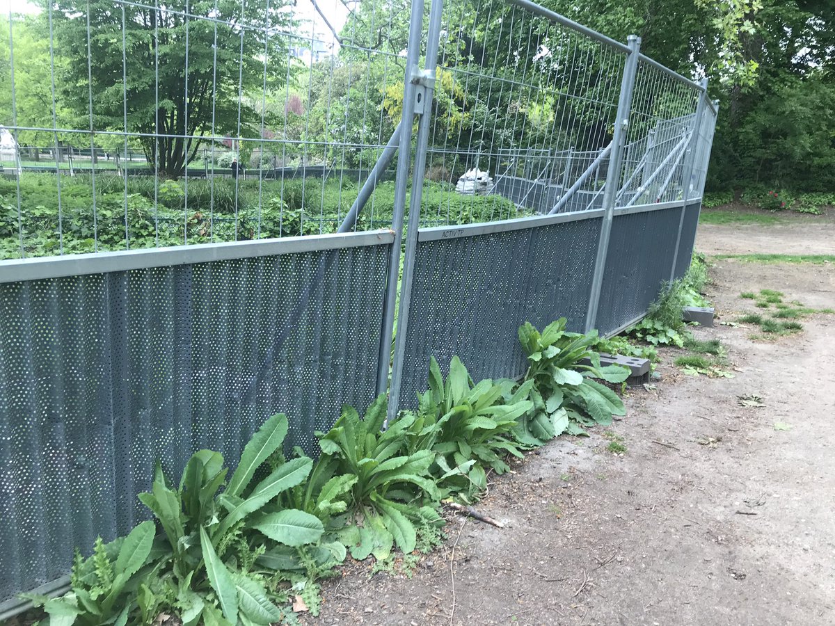 Le scandaleux état du Parc Monceau autour du platane remarquable. J’ai honte de cette mairie de clodos #saccageparis