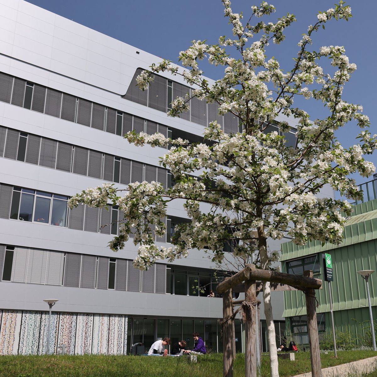 CBehav's tweet photo. Job alert 📢: We @CBehav @UniKonstanz are looking for a person who helps us as an #ITsupport specialist and a #studentassistant who would like to get insights in the field of #sciencecommunication! Further infos:
https://t.co/jX9Lt1U9PJ https://t.co/Z6UimmbHaY