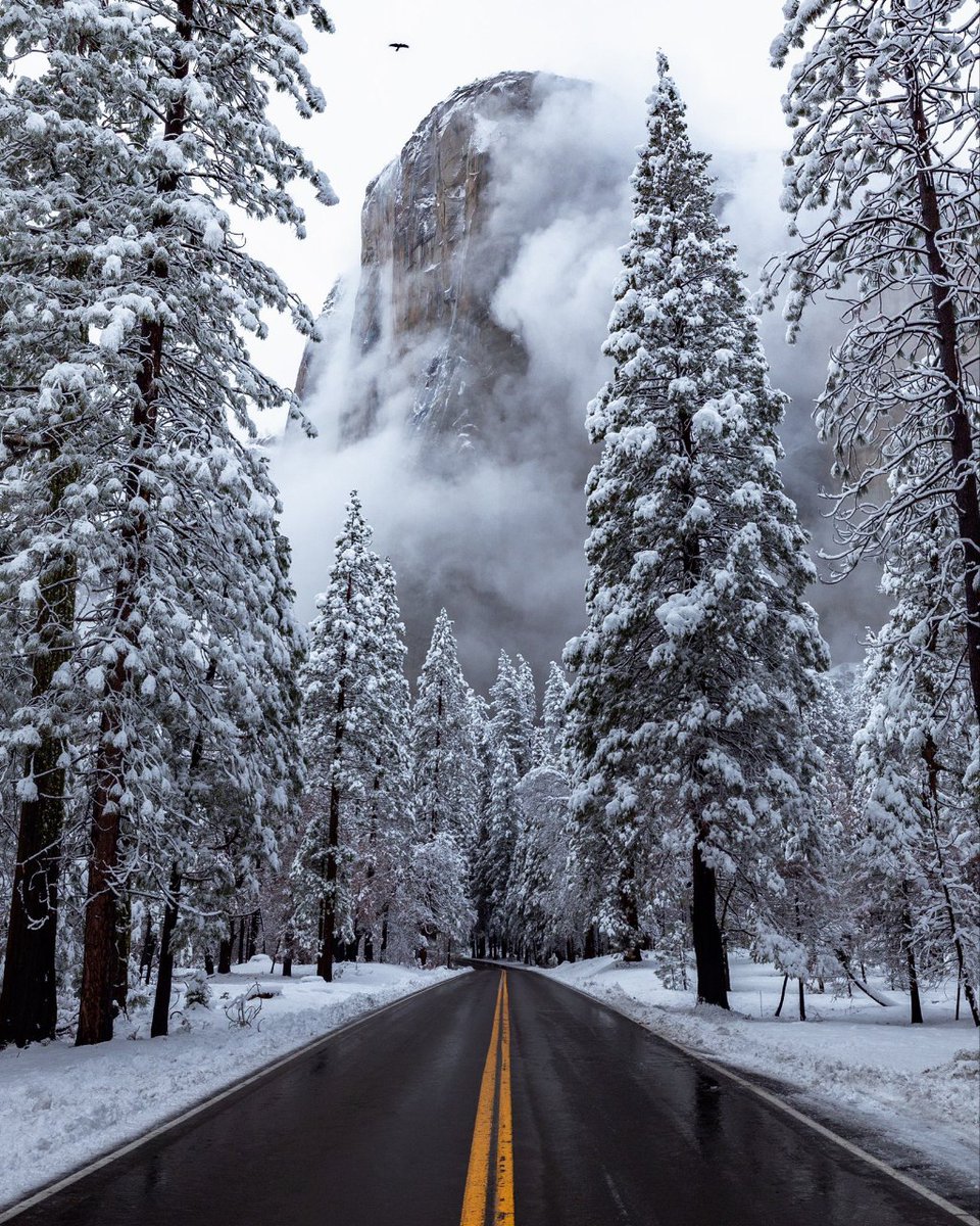 Yosemite, USA 🇺🇸 #naturephotography #nature #landscape