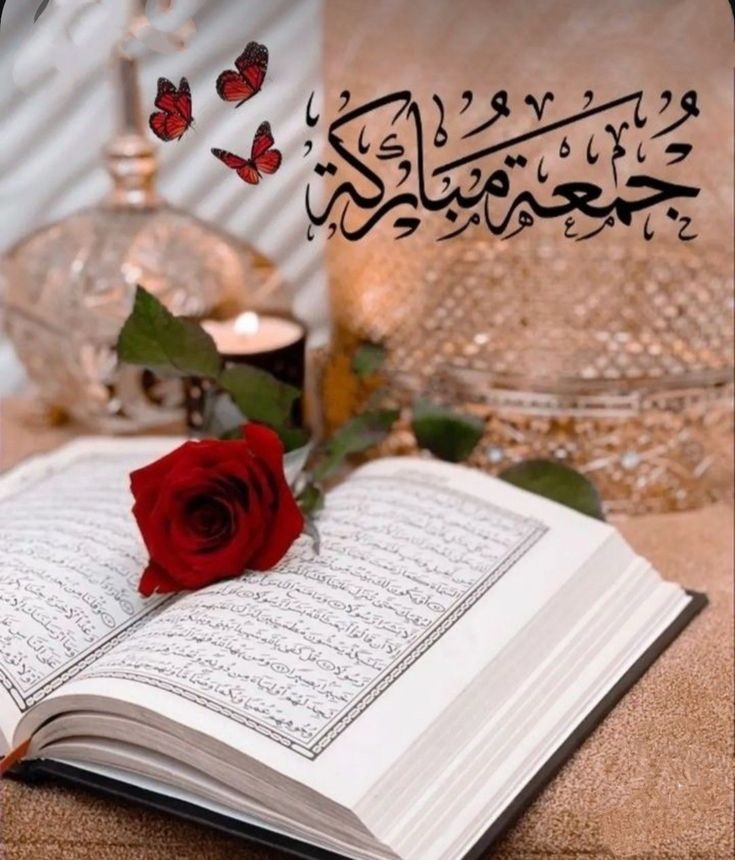 Sajida1214's tweet photo. اسلام و علیکم ایکس فیملی🩷🩷🩷🩷
جمعہ مبارک ہو❤❤❤❤❤ https://t.co/Gm9yD5lL6f