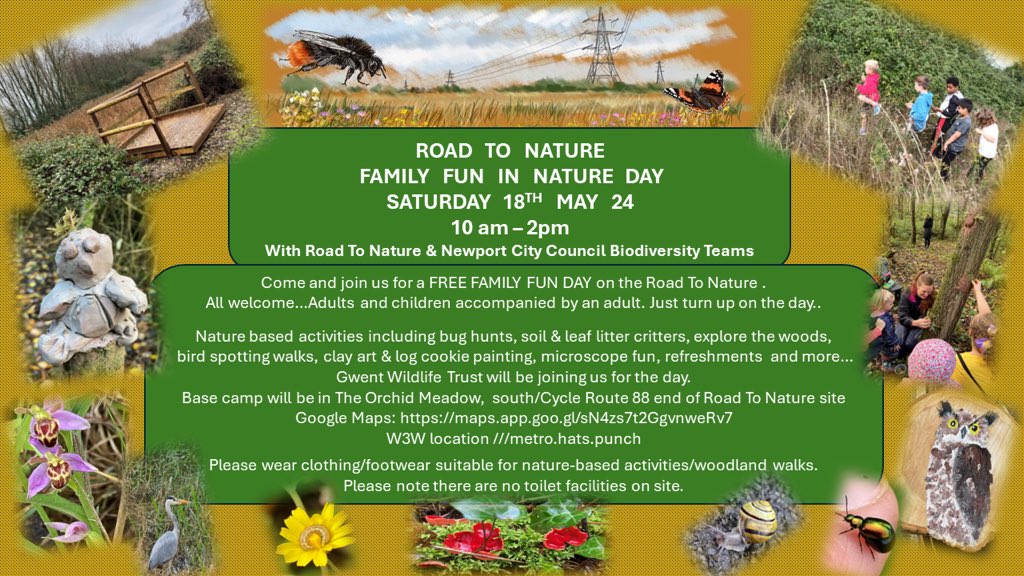 Free Family Fun In Nature - On Road To Nature.. #Nature #Birds #Woods #Meadows #ArtInNature #Insects #Biodiversity #Flowers @GreenCaerleon @GreenBettws @GSouthwales @ourlivinglevels @NewportCouncil @WalesNatureWeek