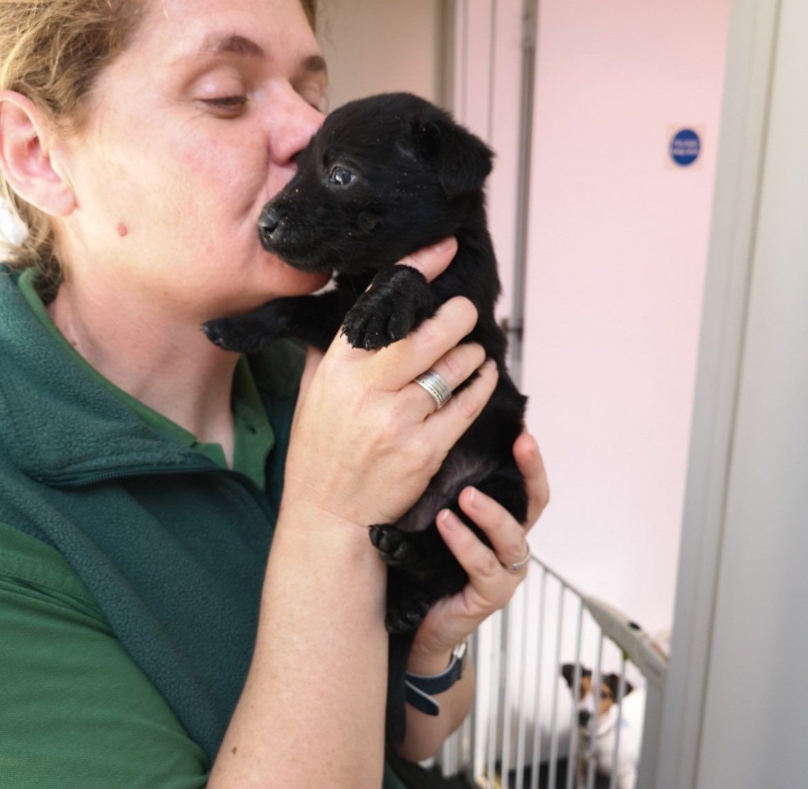 mo_rescue's tweet photo. Mum and Dad are off to London soon for the #LondonMarathon and this lovely lady is due any minute to look after me! Sheโs one of the amazing humans that cared for me round the clock when I was small and poorly. Literally canโt wait! #ExcitedEars #BestBehaviour https://t.co/p1iZ2DvpQ3