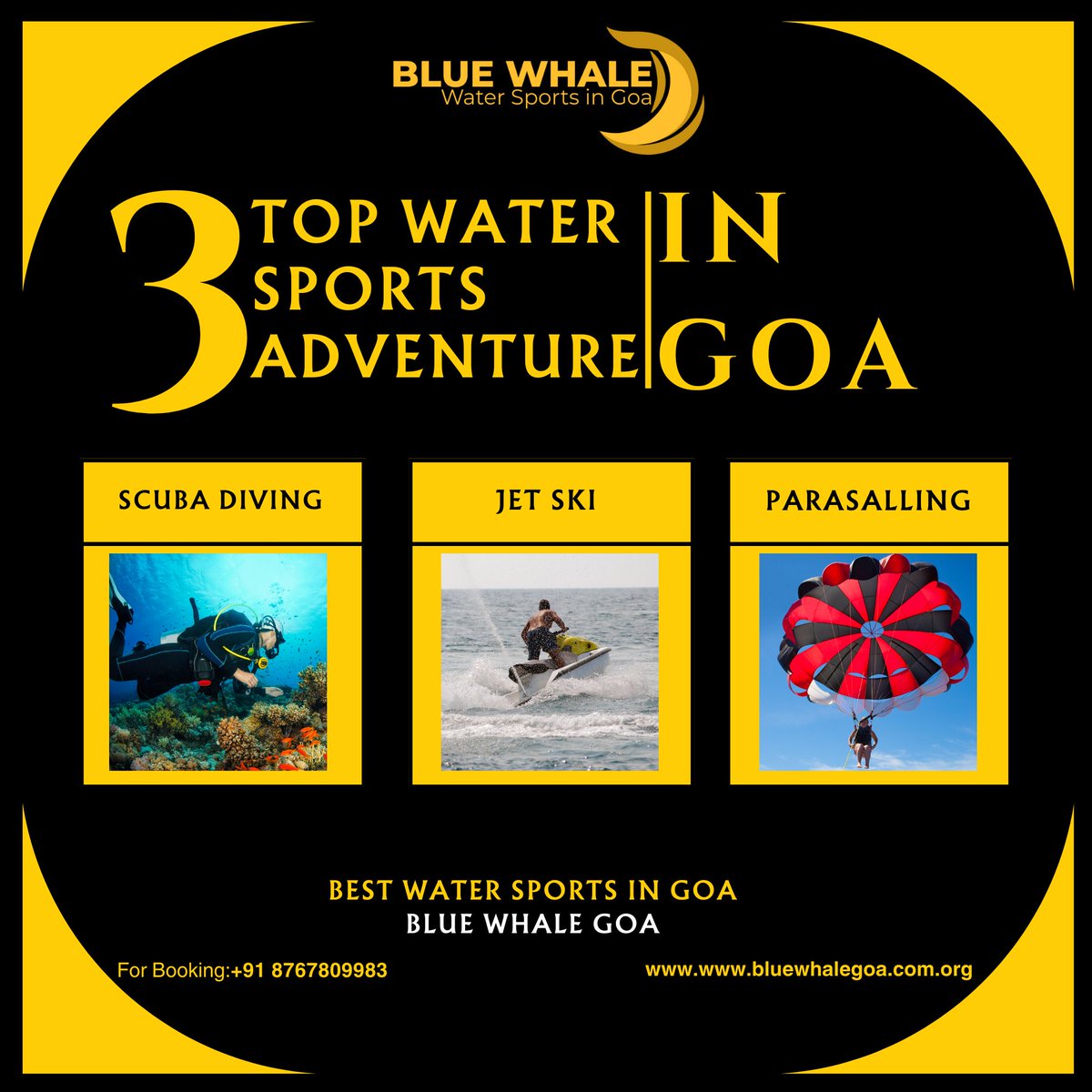 Dive deep with Blue Whale Goa! 🌊 Experience the thrill of Scuba Diving, Jet Skiing, and Parasailing along Goa's stunning coast. Book your adventure today! 💙 #BlueWhaleGoa #WaterSports #GoaAdventures