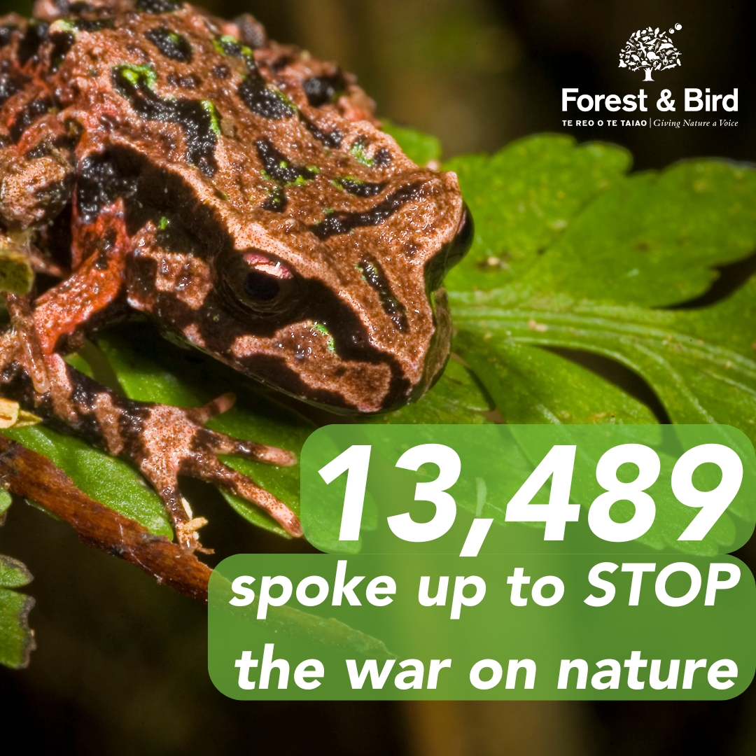 THANK YOU to everyone who used our quick online template tool to stand up against the #WarOnNature Fast-track Approvals Bill. 

We've now closed the form, collated your submissions & passed them on to the select committee so your voices will be heard.