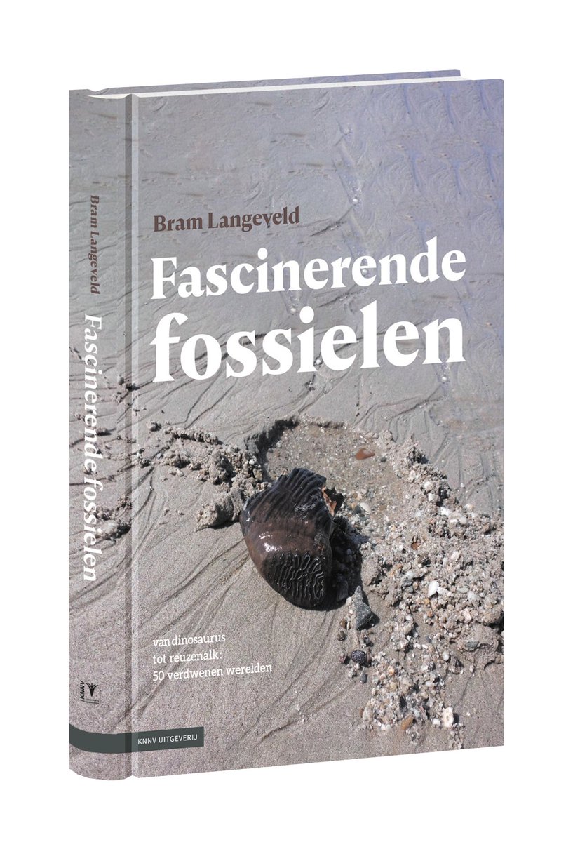 "Als het aan mij ligt wordt 'Fascinerende fossielen’ van <a href="/ConservatorBram/">Bram Langeveld</a> verplichte kost voor alle Nederlandse paleontologen, professionals en liefhebbers!" - John Jagt, conservator NHM Maastricht l1nq.com/q2X0H #fossielen #paleontologie #natuurhistorie #wetenschap