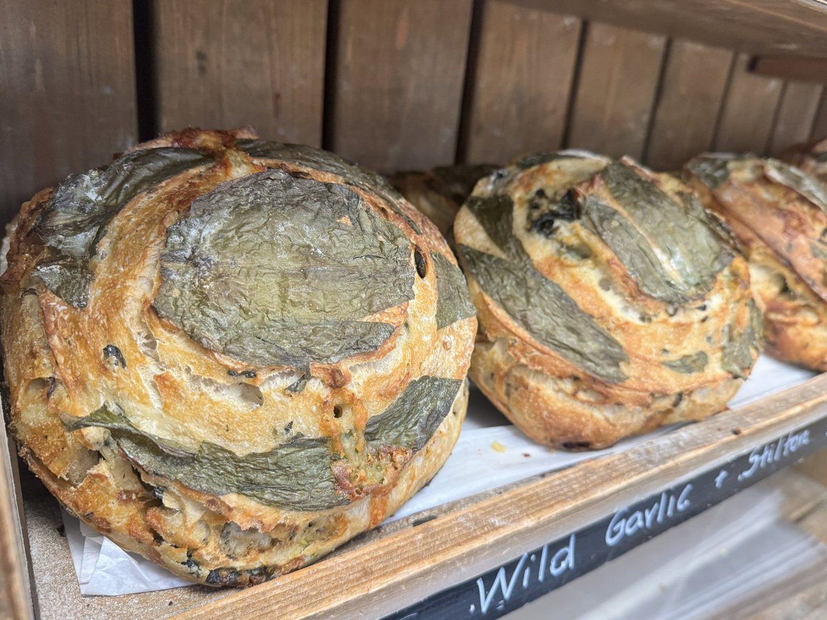 This weekends special available Friday & Saturday is wild garlic & Stilton sourdough #realbread #bread #freshbread #bakery #harrogate #coldbathroad #shoplocal #homemade #shop #mannabakeryharrogate #yorkshire #food #sourdough #wildgarlic #stilton